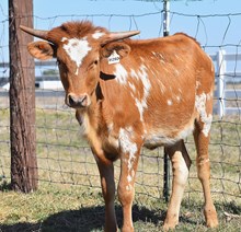 HLR REFLECTION OF TIME