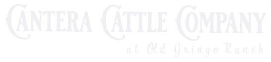 Cantera Cattle Co. logo
